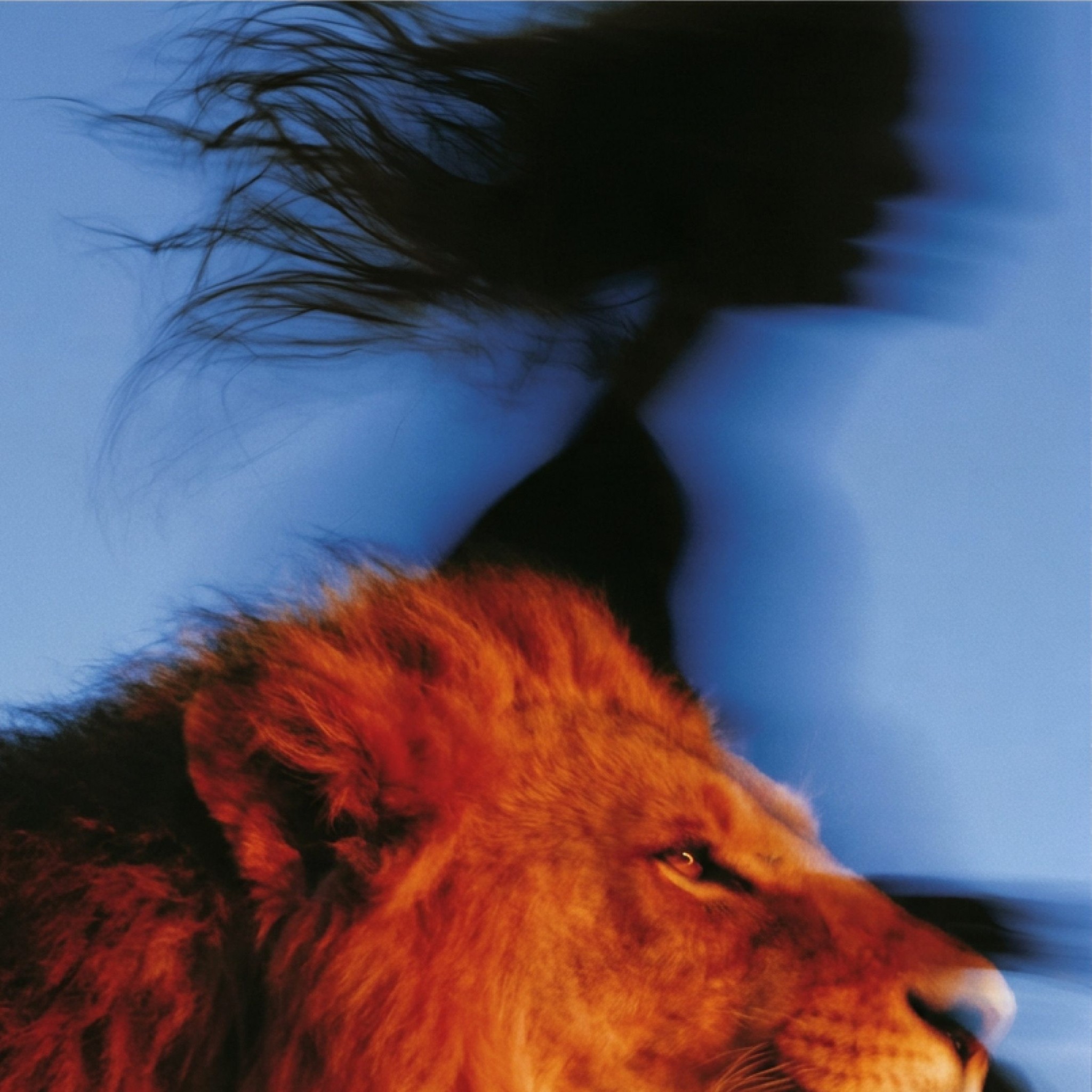 From Young Lions Indonesia to Cannes Lions: The Making of a Winning Idea